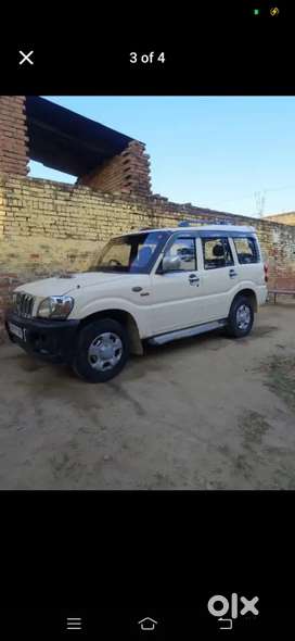 New lena hai