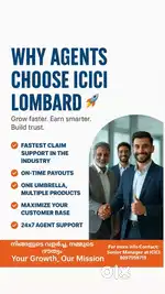 Insurance advisor