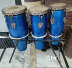 Congo for sell