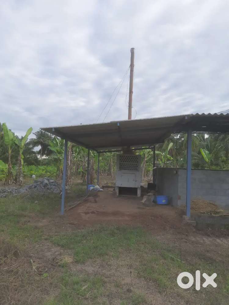 Coconut Copra Drier
