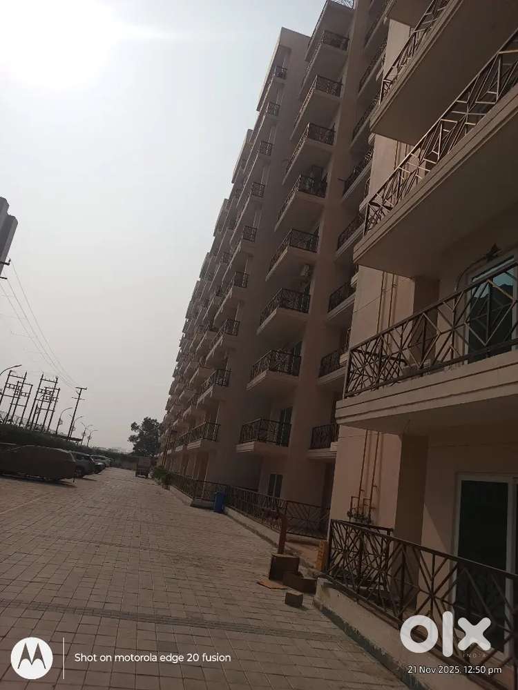 Child park . Football area. Tanis area. Coulb house