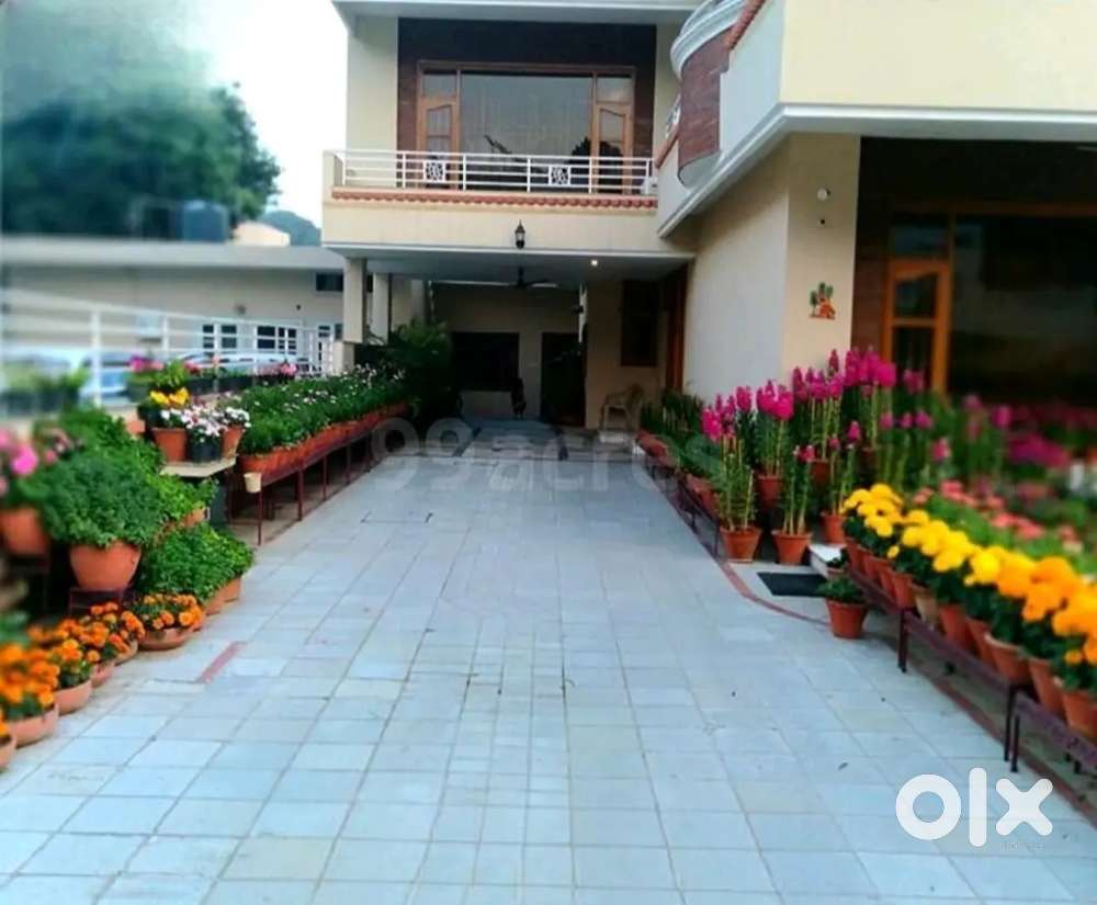 1 Kanal Bunglow Sector 36 Chandigarh.