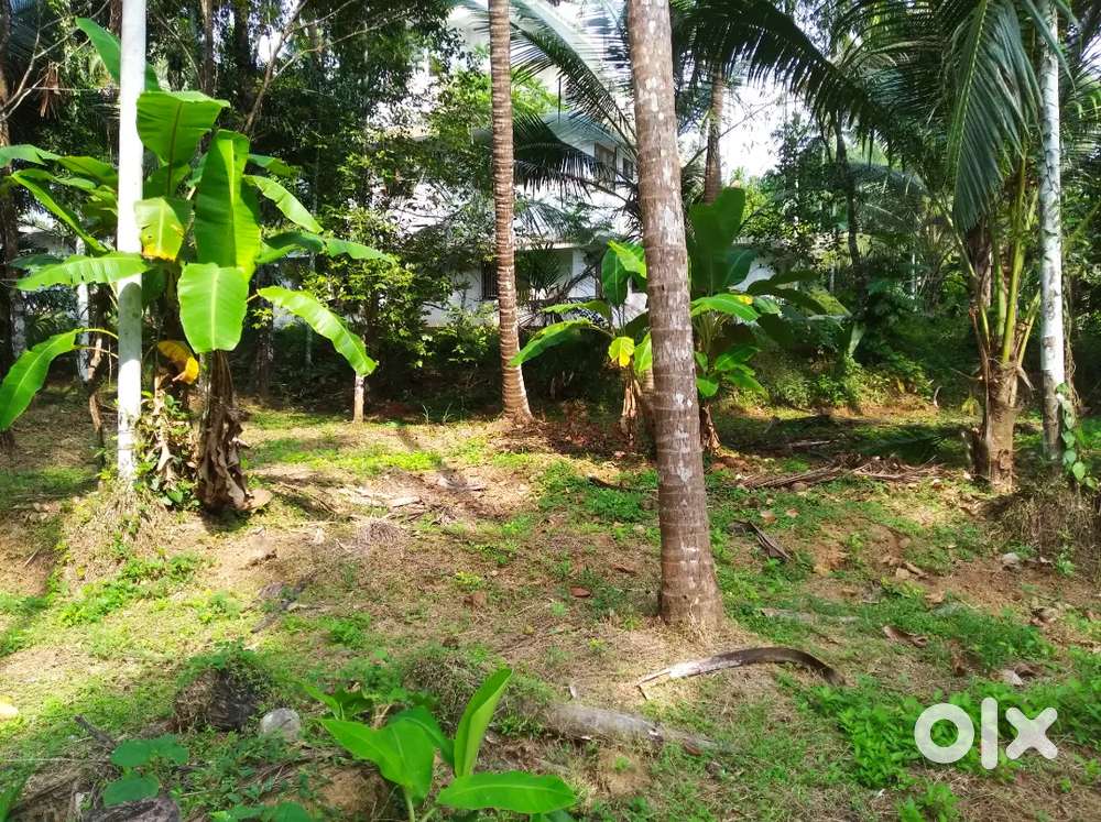 House plot foe sale near Villiappally in Vadakara land for sale