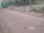 6cent plot near kalarkod Alappuzha