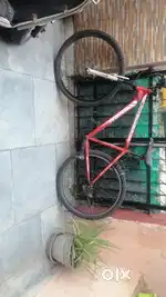 Monty bicycle with Gear