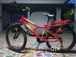 Bonfire cycle