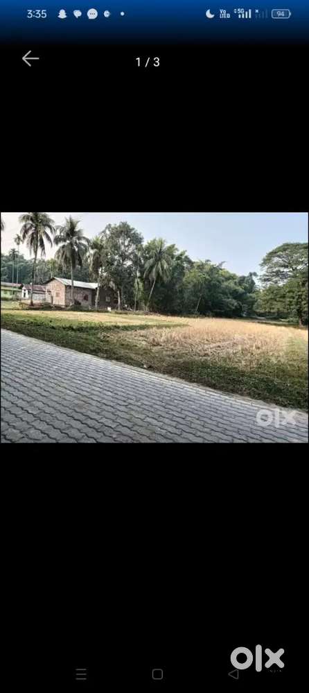 2 bigha 4 less Haribhaga makhibaha road near kamakhya dham