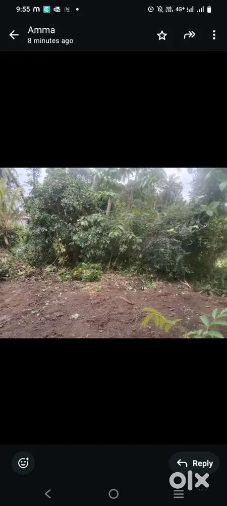 Plot Available for Rent
