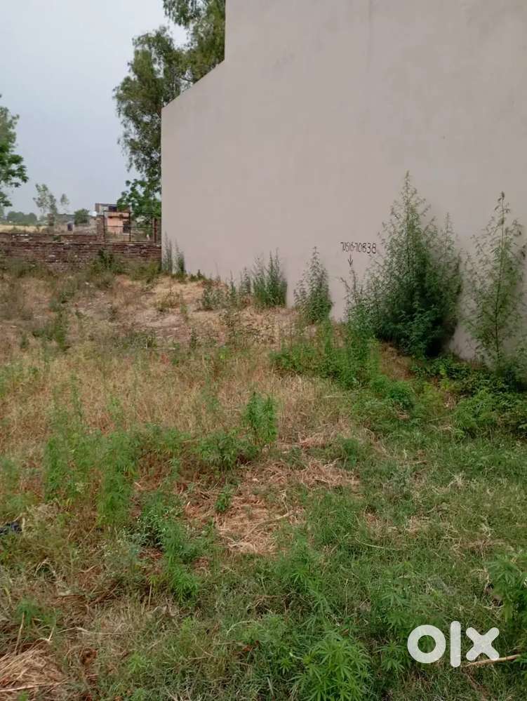 Kaherwali colony near gurudwara sahib