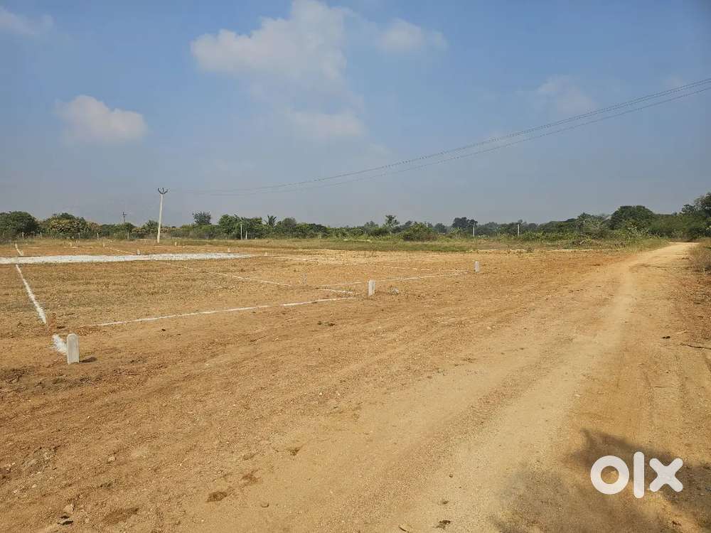 Corner plot for sale very affordable price