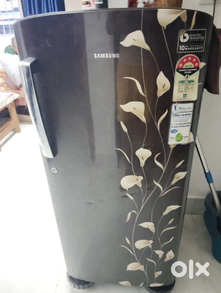 Samsung inverterable fridge