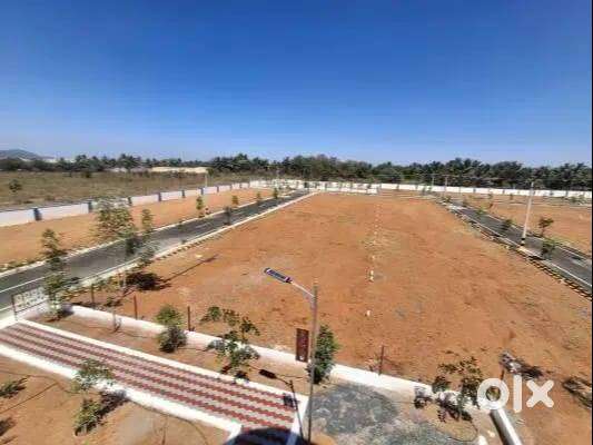 Residential Plots for Sale with Great Connectivity