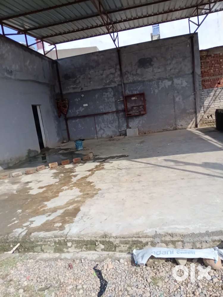 Carwashing