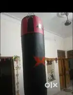 Xpeed punching bag