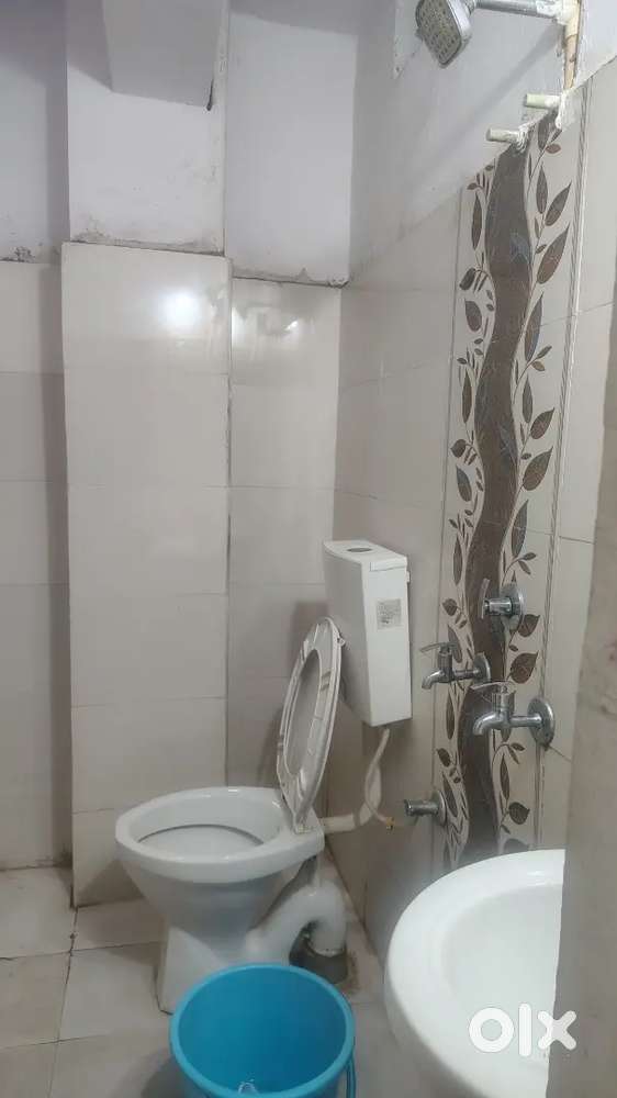 Flatmates need girls or boys both allowed