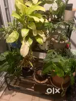 Iron pot stand  for sale