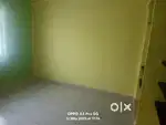 Renovated new house, drinking water and bore water available