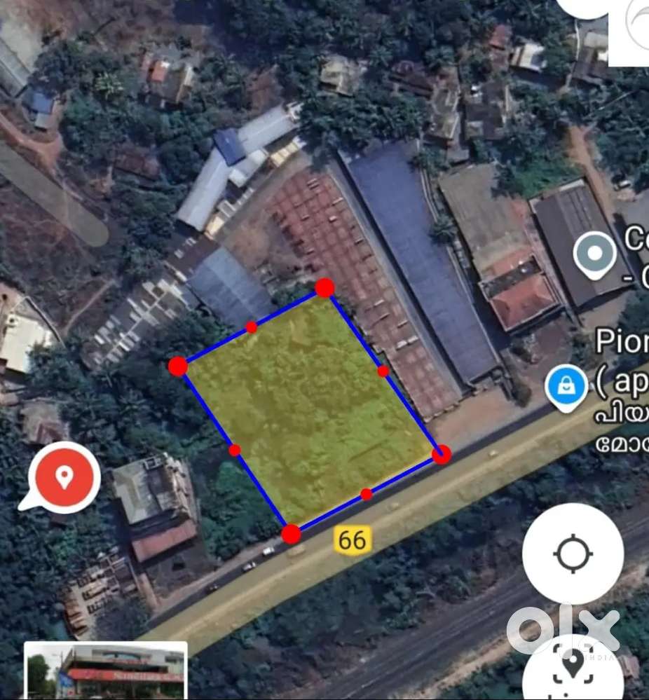 Thazhecovva - 40 cents for sale