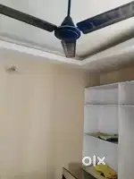 2 high speed fans big size idli pot