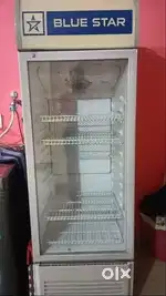 Blue Star 250L Visi Cooler - Excellent Condition for Commercial Use