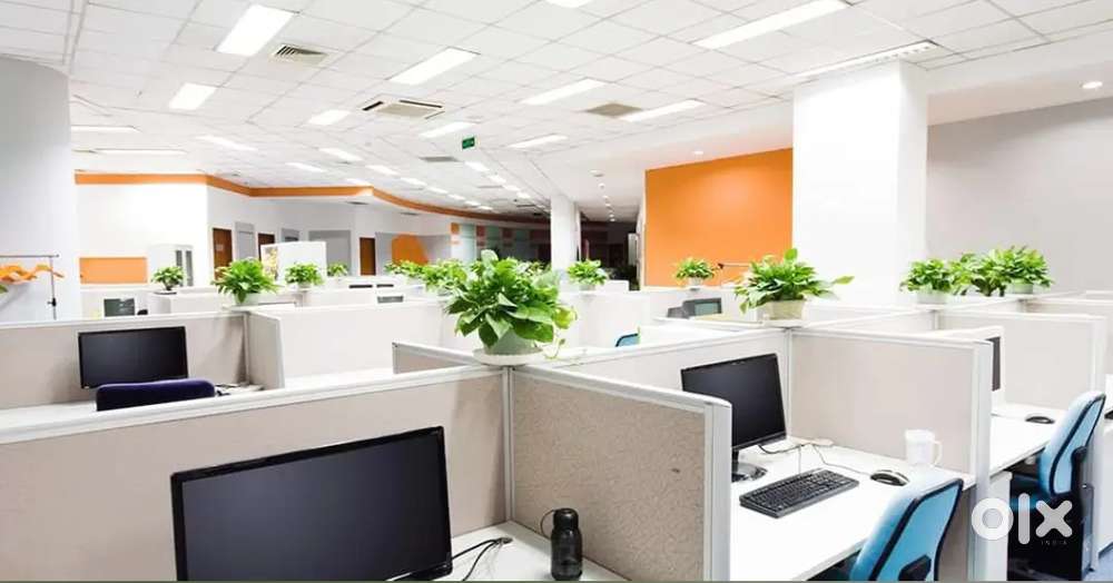 We want software developers for our company