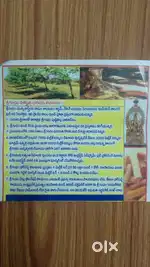 Hike in plot price and income through Sandal farming