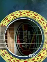 Guitar with plectrum and bag