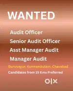 Audit Officer