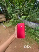 iPhone 7+ buy for low price