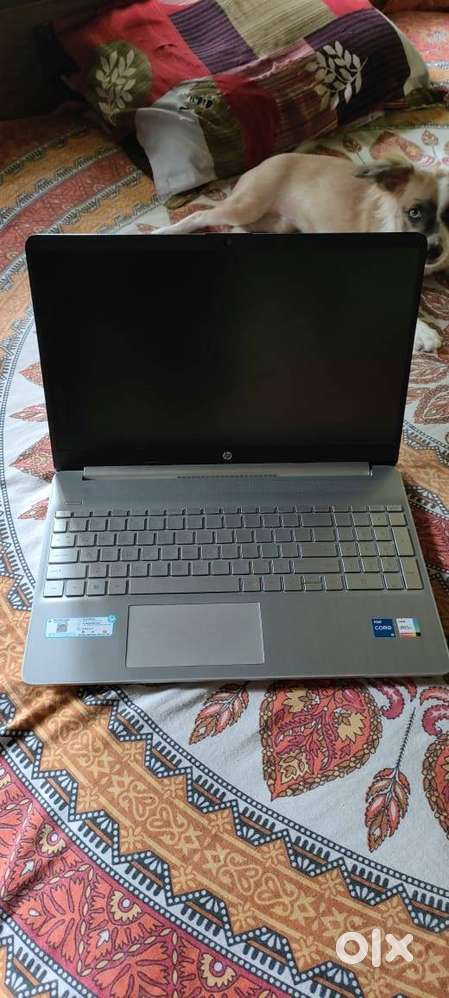 HP 15s - 16GB Ram 1.1 year old
