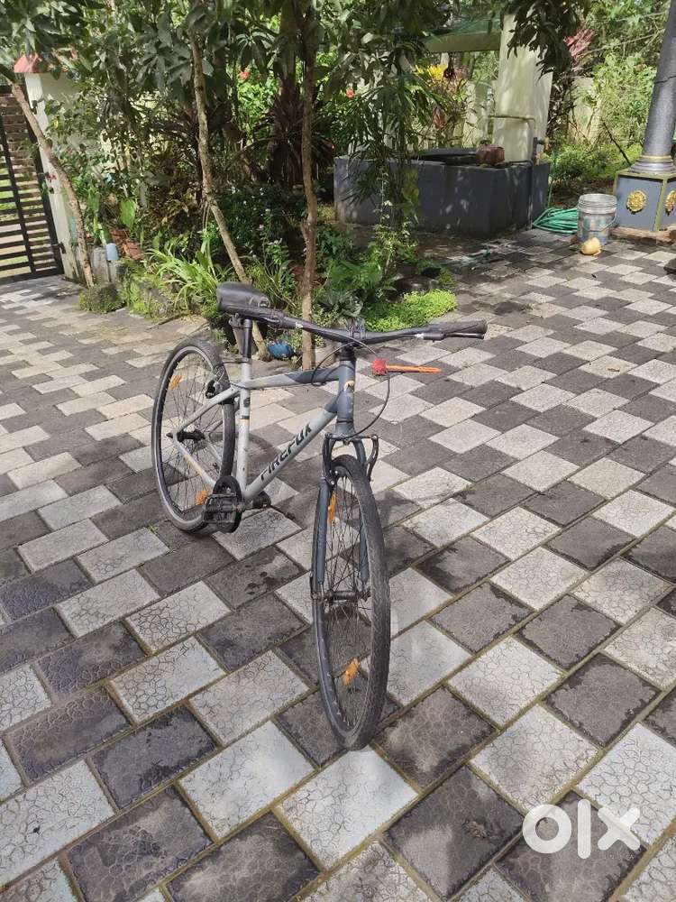 Fire fox voya  700C T(inch)hybrid cycle(single speed, rigid)matt grey