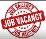 Jobs/home based jobs are available