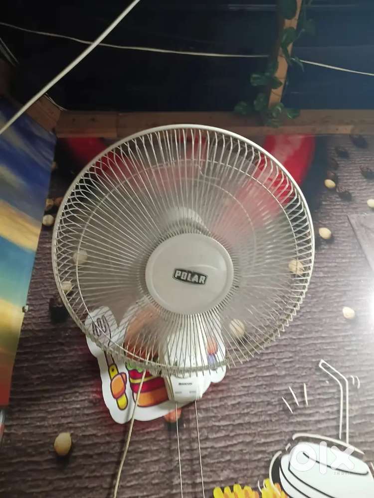 Pizza restaurant all saman selling