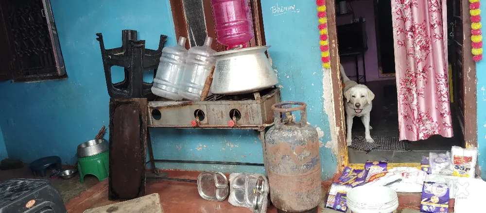 Parota sets iam selling