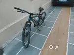 Adult size bicycle