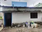 Teen shad house