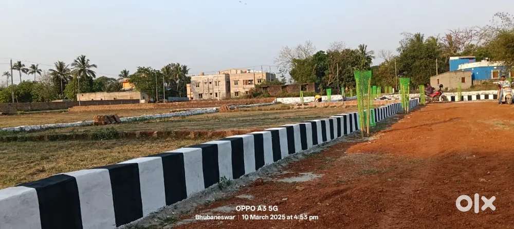 Residential plot for sale pahala