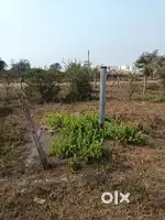 Near bus stand jamul mpeb chowk