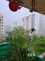 1 bhk with covered car parking in a gated sosciety available for sale