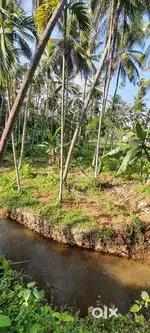 120 cent land only 60 lakhs suitable for farm and villas