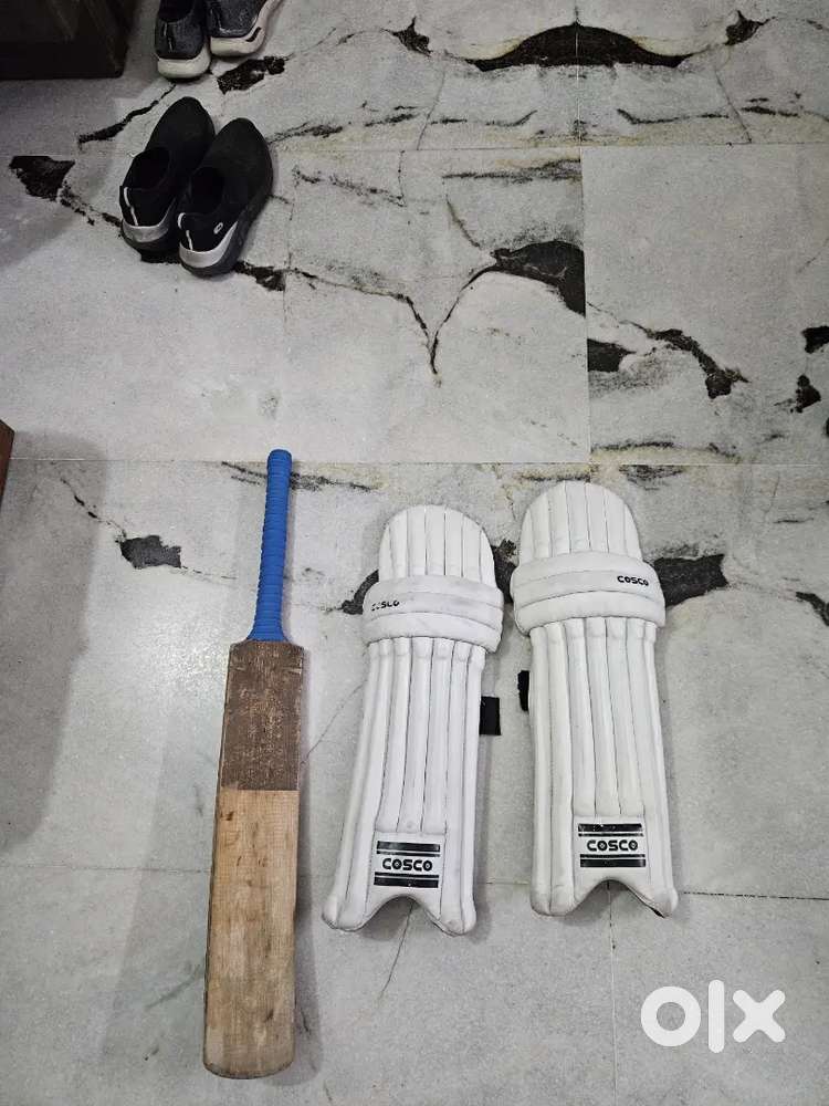 SG cricket bat kashmir willow and cosco cricket leg pads