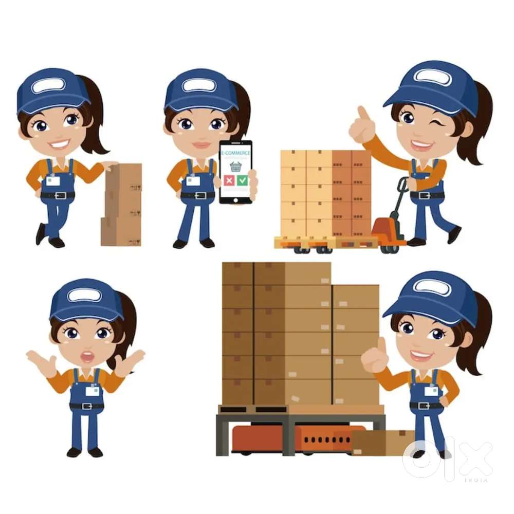 Picker packer ( Bavdhan)