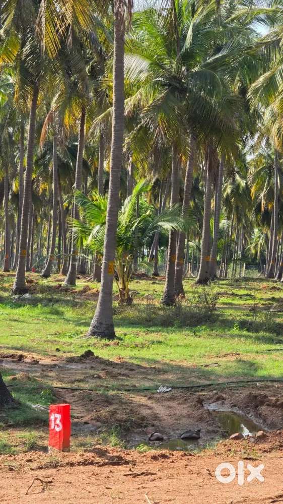 Best investment Farmland for sale