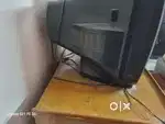 LG TV GOLDEN EYE