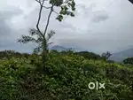 Beautiful frame of reference, 2km panchalimedu,near  mist hill resort