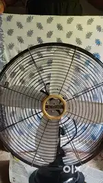 Cinni high-speed fan