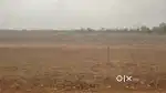 NTPC,Lara_Chhatisgarh_Odisha
