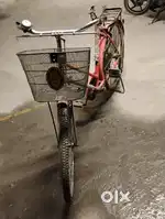 New ladies cycle