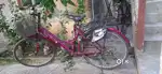 Ladies cycle