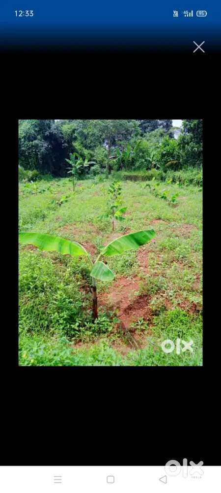 15 cent plot വില്പനക്ക്